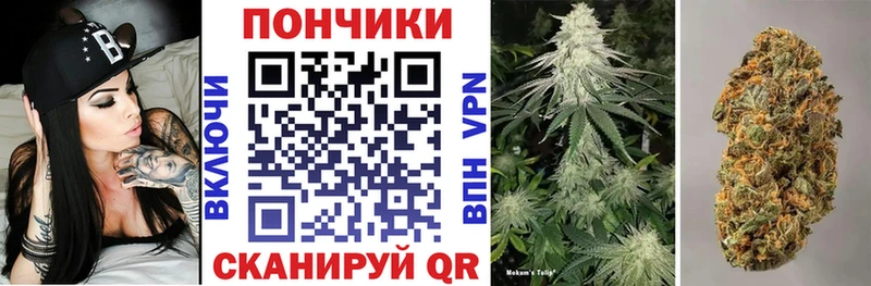 Каннабис марихуана  как найти закладки  Железногорск-Илимский 